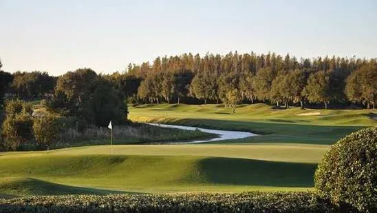 Top senior amateur golfers compete in Florida