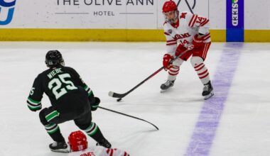 University of Minnesota Duluth Logo