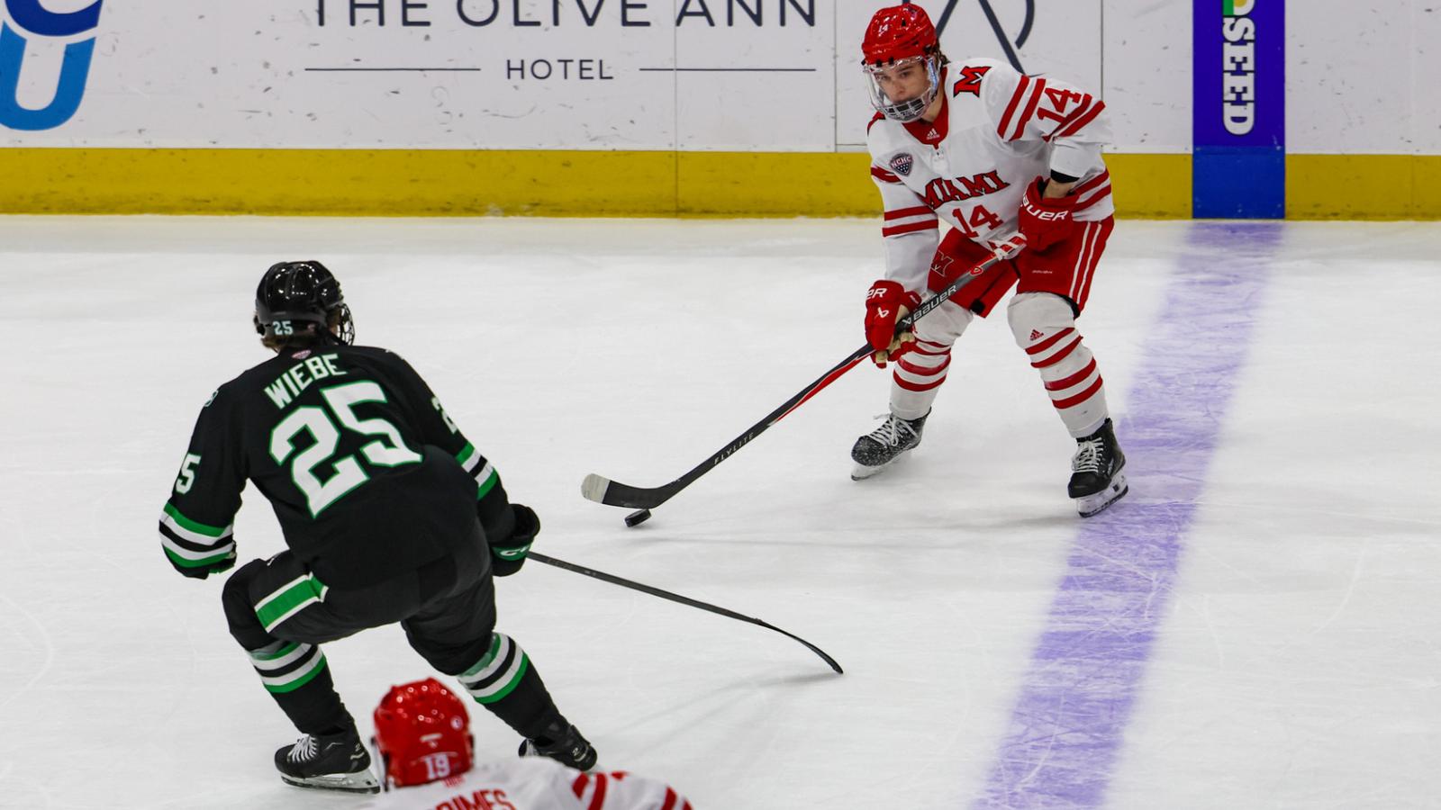 University of Minnesota Duluth Logo