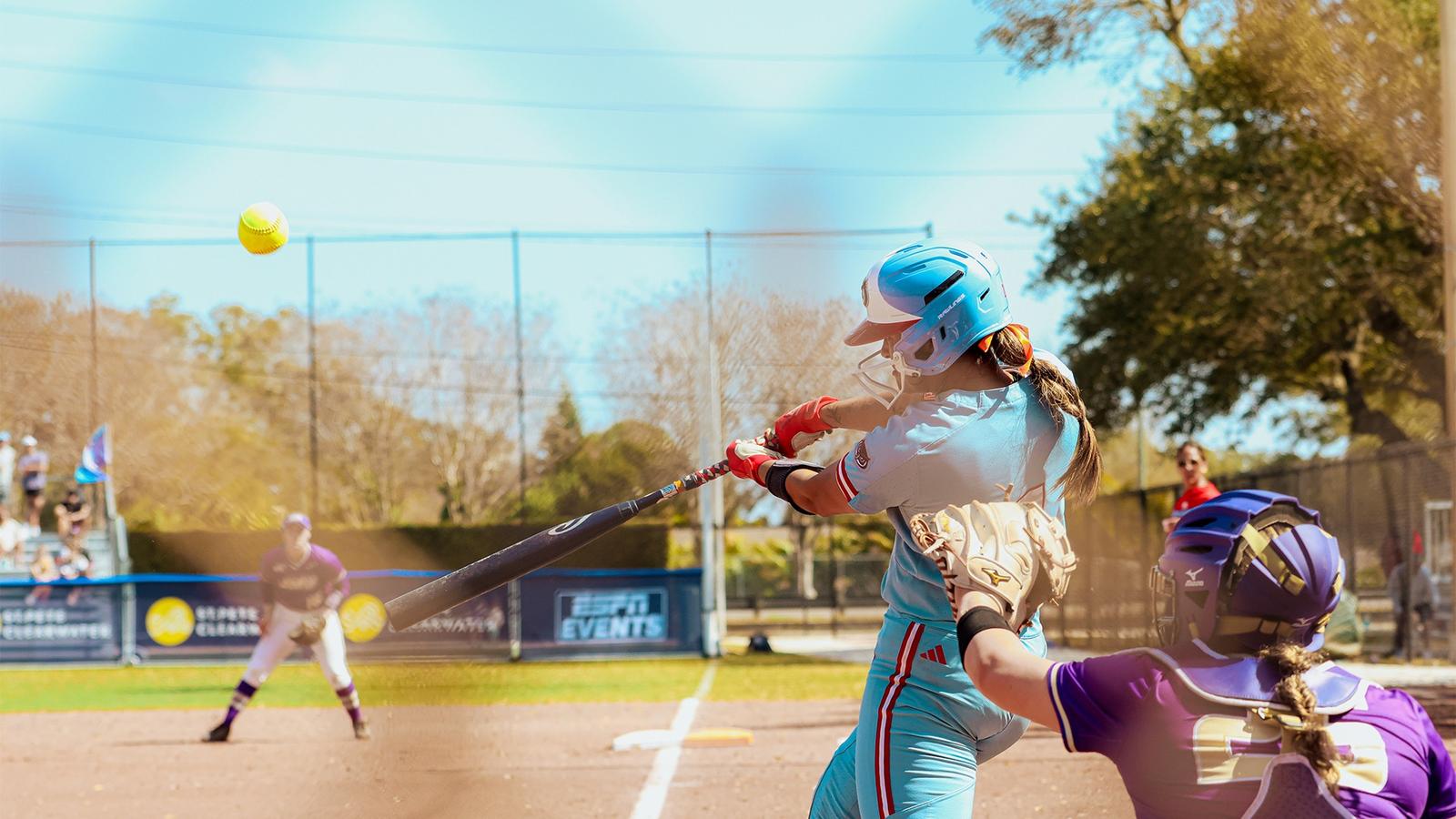 Florida Gulf Coast University Logo