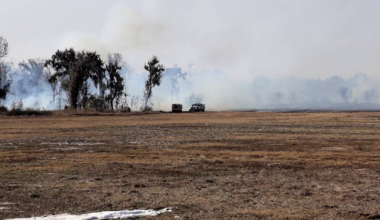 Crews battle massive brush fire burning in Wimauma: HCFR