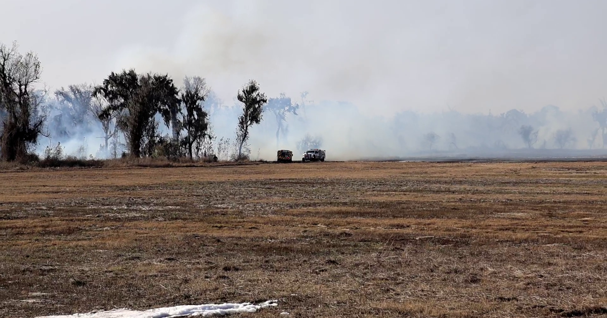 Crews battle massive brush fire burning in Wimauma: HCFR