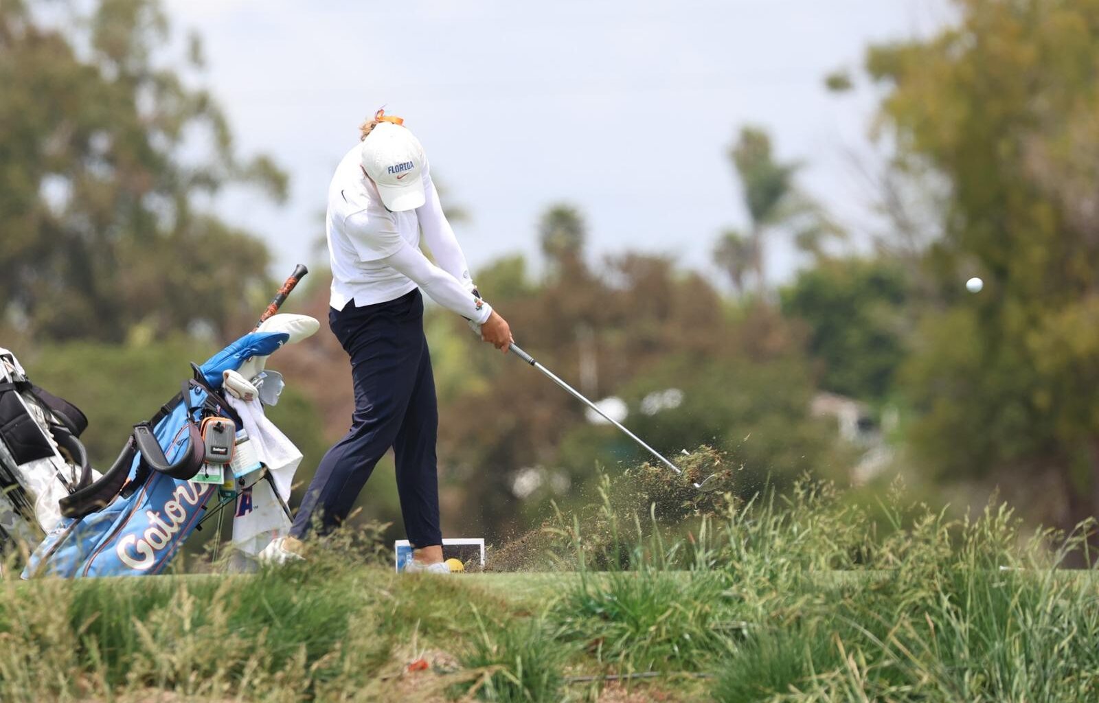 University of Louisville Logo
