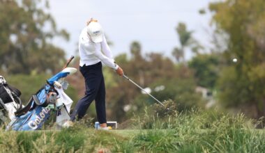 University of Louisville Logo