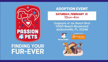 Passion 4 Pets Adoption Event Returns Feb. 21 at Dogtopia of Jacksonville Beach Boulevard