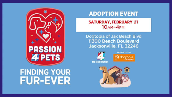 Passion 4 Pets Adoption Event Returns Feb. 21 at Dogtopia of Jacksonville Beach Boulevard