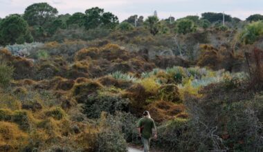 Looking for a peaceful hike? Check out these outdoor gems in South Florida