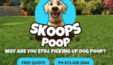 Eye On Business — Valrico, February 2026