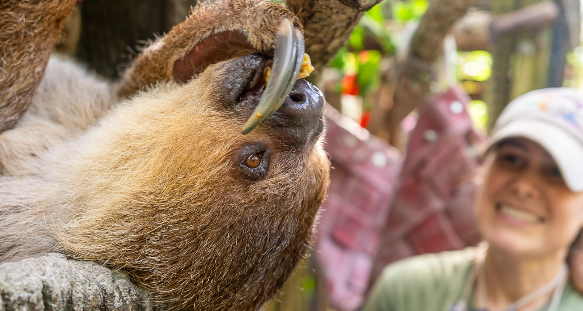 Central Florida Zoo is now giving wild behind-the-scenes tours