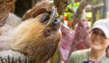 Central Florida Zoo is now giving wild behind-the-scenes tours