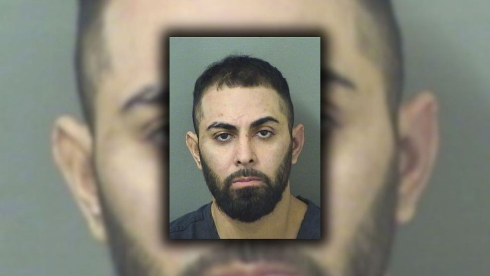 Feb. 14, 2026, deputies say Diego Alberto Cisneros fled two traffic stop attempts in Palm Beach County and later resisted arrest—allegedly attacking a K-9 because he had no valid driver's license and an active felony warrant. (PBC Jail){ }