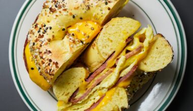 Homesick joins Tampa Bay's bagel boom