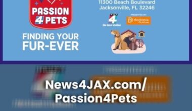 Passion 4 Pets Adoption Event Returns Feb. 21 at Dogtopia of Jacksonville Beach Boulevard