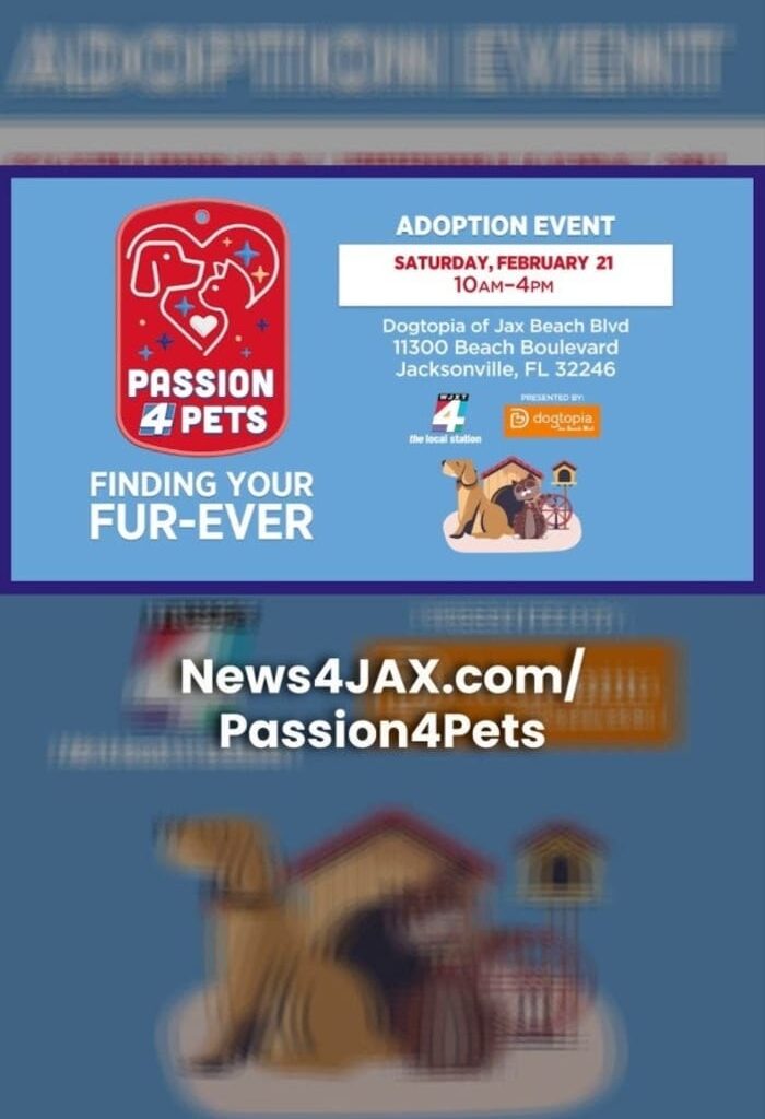 Passion 4 Pets Adoption Event Returns Feb. 21 at Dogtopia of Jacksonville Beach Boulevard