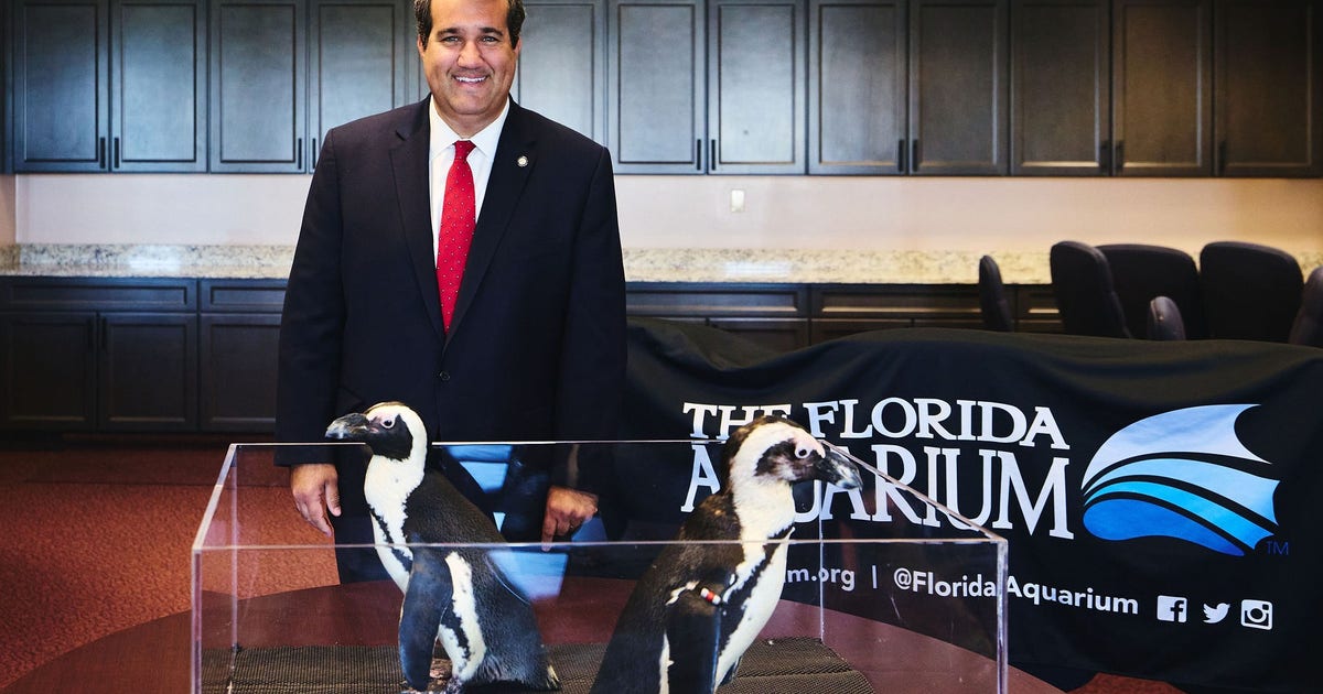 Penguins return to State Capitol to highlight storm protection and coral funding