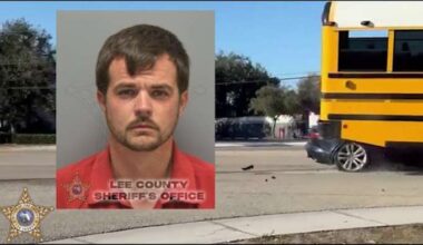 Jaguar driver hits Florida school bus, arrested hours later for domestic dispute, deputies say