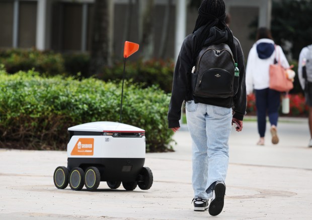 An autonomous robot makes its way to deliver food on the Nova Southeastern University campus in Davie, Tuesday, Feb. 3, 2026. (Carline Jean/South Florida Sun Sentinel)