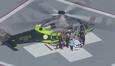 14-month-old boy hospitalized after being attacked by family dog in Hallandale Beach