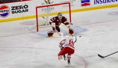 University of Minnesota Duluth Logo