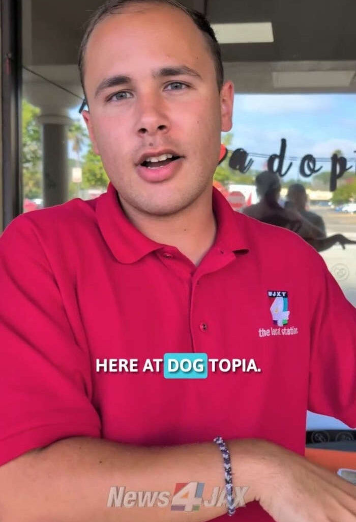 Finding furever homes for dogs at Dogtopia Jax Beach Blvd