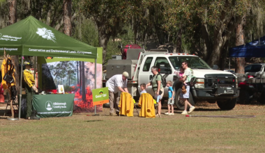 Hillsborough County hosts Prescribed Fire Fest as early brush fire season heats up