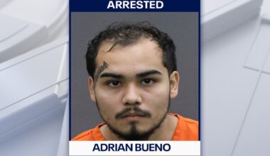 Dover felon faces 31 charges after deputies seize guns, drugs and weapon conversion devices: HCSO