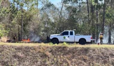 Brush fire burns in Metrowest area of Orlando