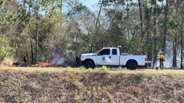 Brush fire burns in Metrowest area of Orlando