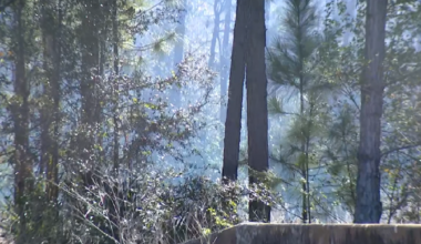 Over 70 acres catch fire in 2 Central Florida areas amid red flag warning