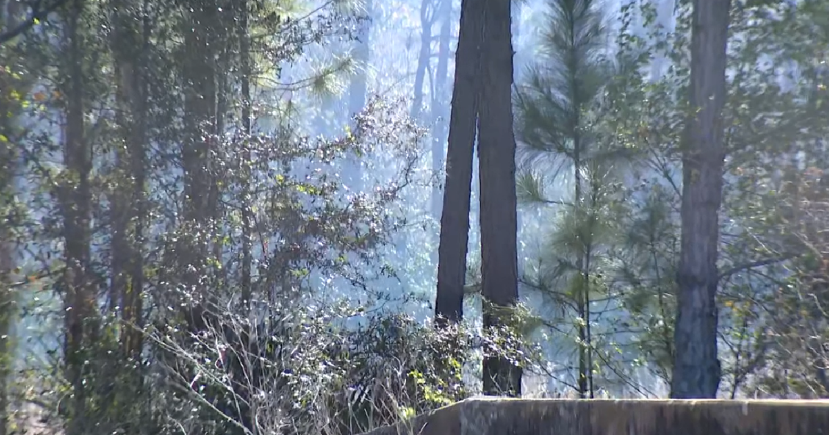 Over 70 acres catch fire in 2 Central Florida areas amid red flag warning