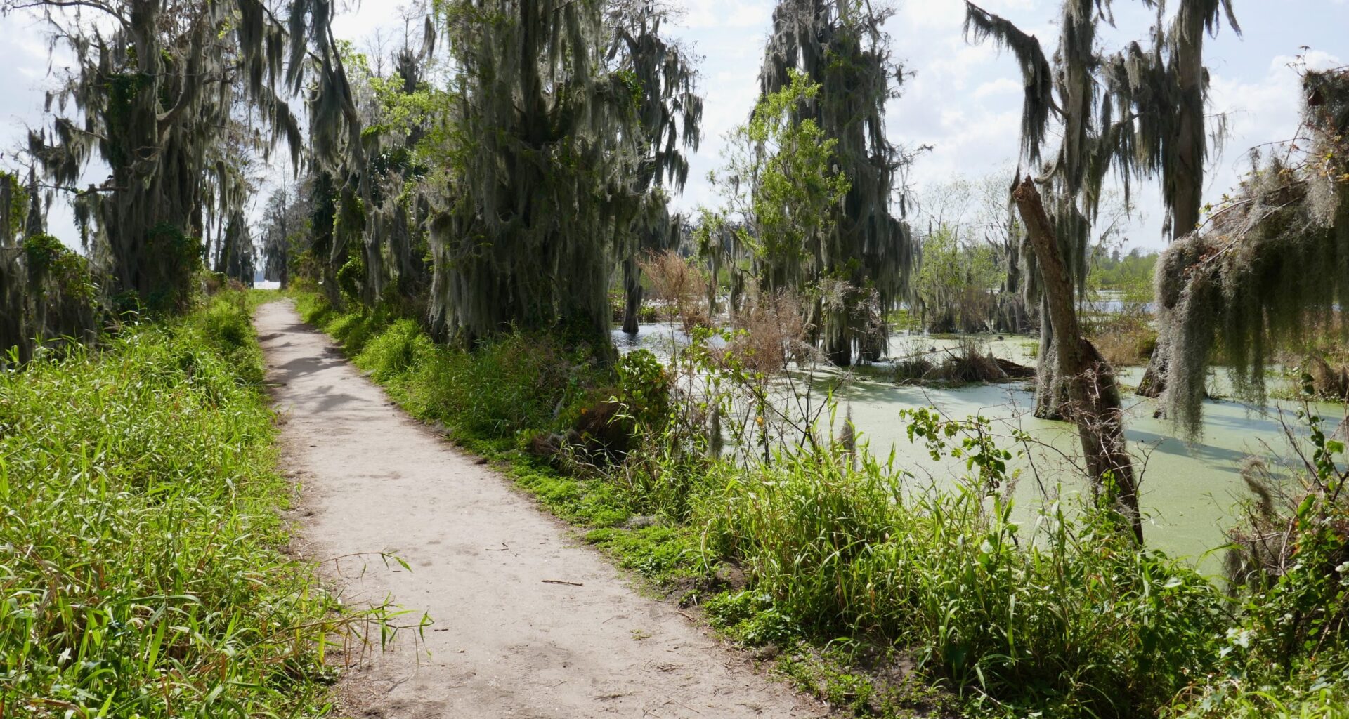 Florida Legislature poised to defund land conservation program