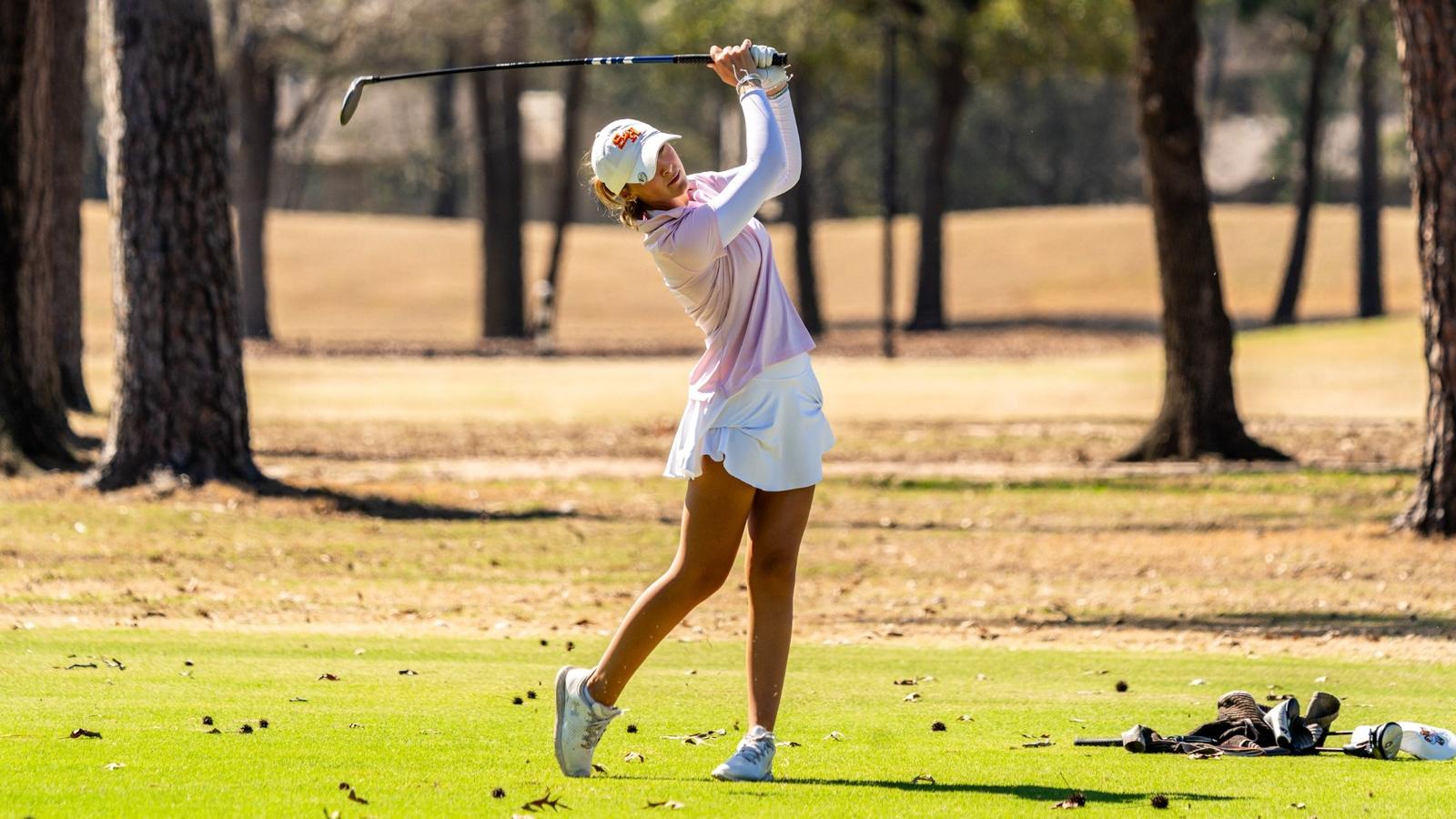 University of Texas Logo