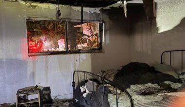 4 adults, 2 dogs displaced after Miami fourplex fire