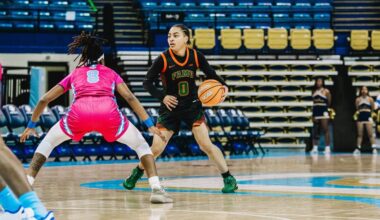 Ellington scores 22 points in Florida A&M's 80-61 loss to Southern