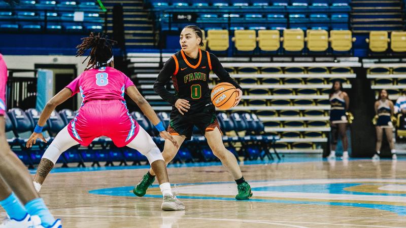 Ellington scores 22 points in Florida A&M's 80-61 loss to Southern