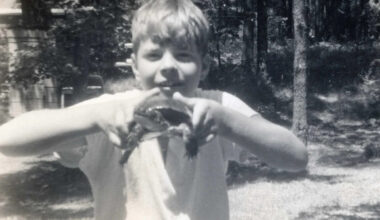 Yahoo entertainment home