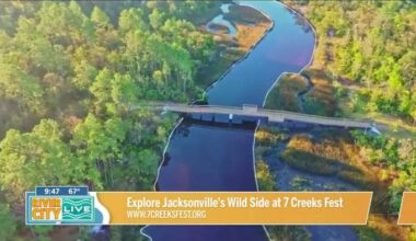 7 Creeks Fest in Jax, Fla., offers live music, exhibitors, and free family activities