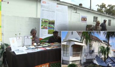 Tampa community rallies to rebuild Dr. Walter L. Smith Library after major Hurricane Milton damage