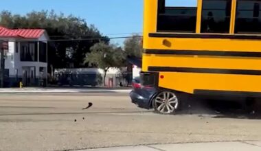 Fort Myers, Florida crash: Car slams into Lee County school bus | Video