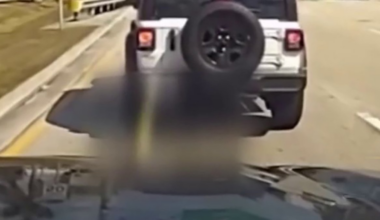 2 arrested after Hollywood Police use grappler to stop stolen Jeep from Jacksonville – NBC 6 South Florida