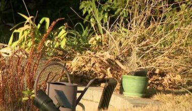 Water shortages declared in parts of Central Florida amid dry conditions