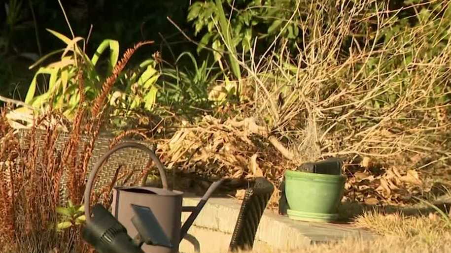 Water shortages declared in parts of Central Florida amid dry conditions