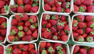 23 Can't-Miss Events This February In Tampa Bay