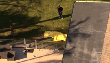 Man hospitalized after animal attack, 2 dogs killed in deputy-involved shooting in SW Miami-Dade - WSVN 7News | Miami News, Weather, Sports