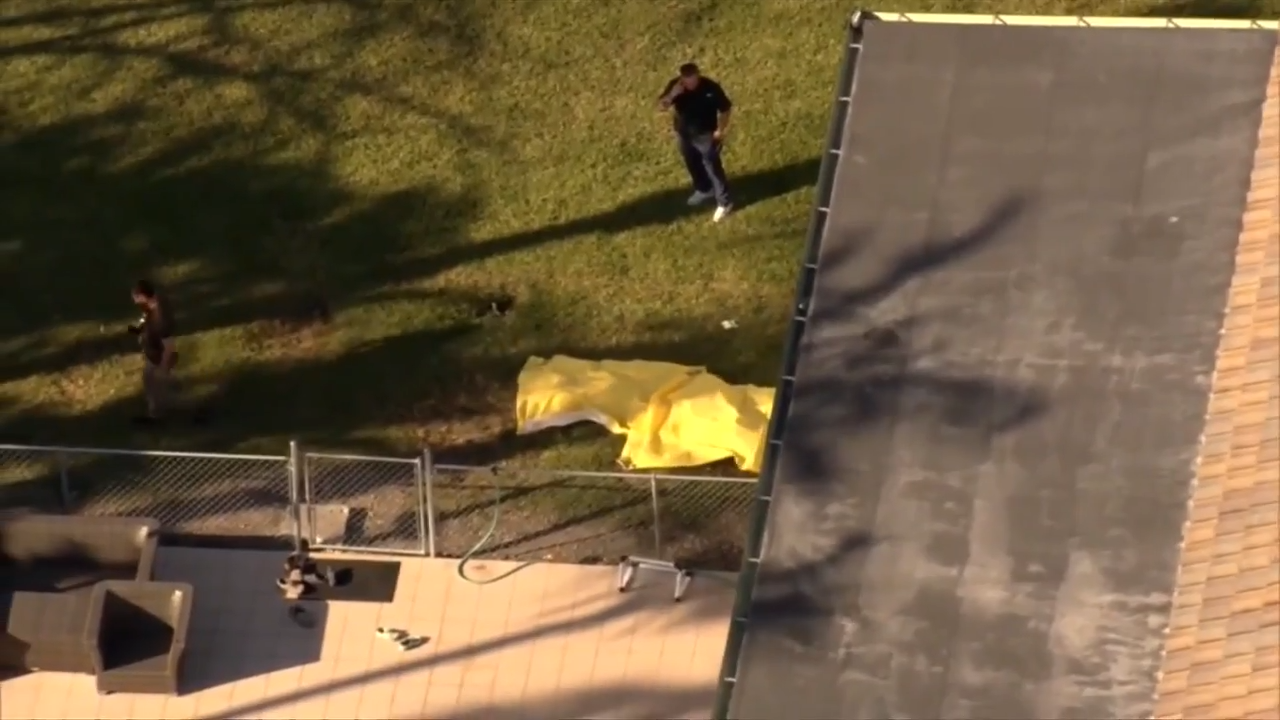 Man hospitalized after animal attack, 2 dogs killed in deputy-involved shooting in SW Miami-Dade - WSVN 7News | Miami News, Weather, Sports