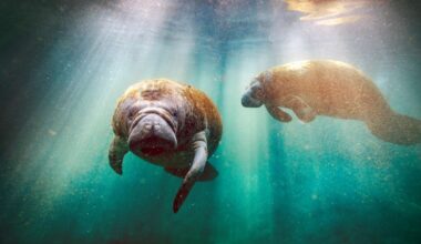 The Best Times Of The Year To Visit Florida In 2026