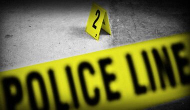 Woman shot in domestic incident near Windemere school