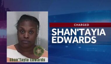 Central Florida woman accused of abandoning dogs for out of state job interview