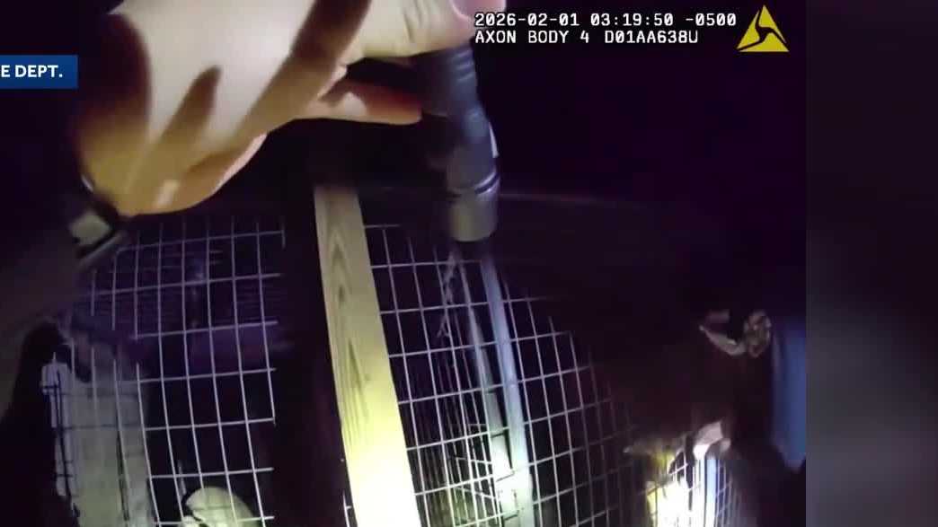 Orlando police rescue dogs from freezing cold temps