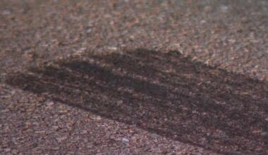 Cape Coral considers new traffic calming policy for safer streets